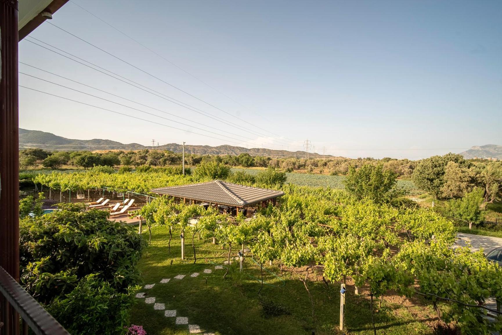 מלון Kızlanköy Grape Datca מראה חיצוני תמונה