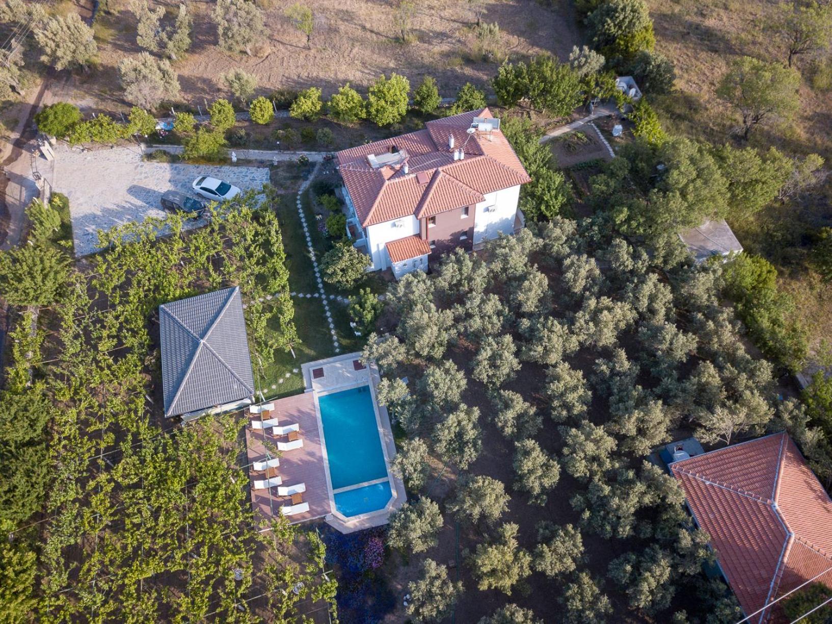 מלון Kızlanköy Grape Datca מראה חיצוני תמונה